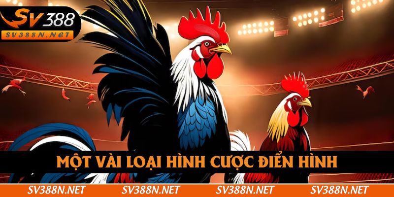 Một vài loại hình cược điển hình Một vài loại hình cược điển hình