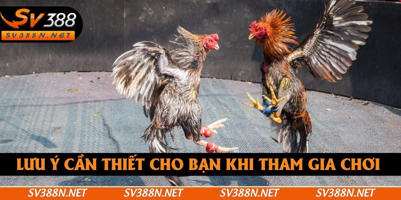 Lưu ý cần thiết cho bạn khi tham gia chơi Lưu ý cần thiết cho bạn khi tham gia chơi