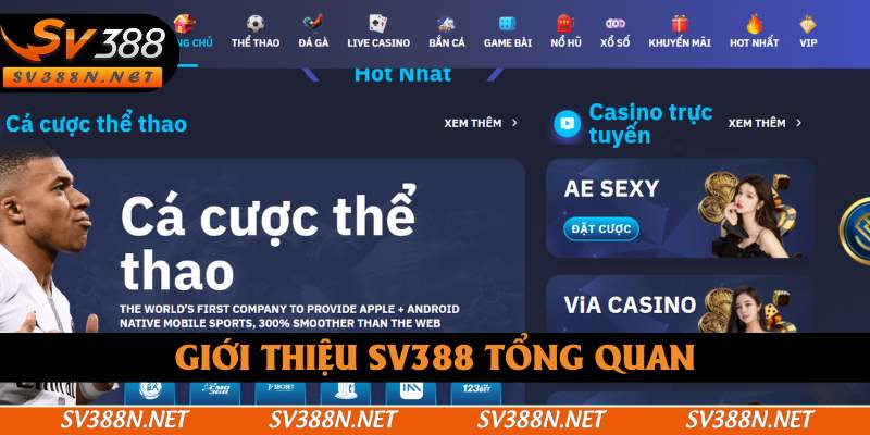 Giới thiệu SV388 một cách tổng quan Giới thiệu SV388 một cách tổng quan