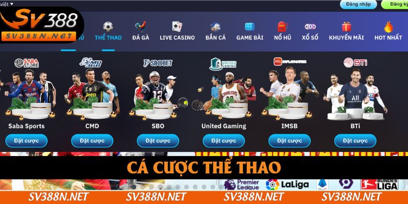 Sân chơi sở hữu sảnh thể thao với tỷ lệ kèo xanh chín Sân chơi sở hữu sảnh thể thao với tỷ lệ kèo xanh chín