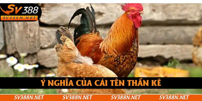 Ý nghĩa của cái tên thần kê Ý nghĩa của cái tên thần kê