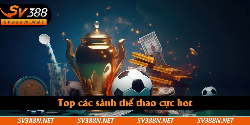 Top các sảnh thể thao cực hot Top các sảnh thể thao cực hot