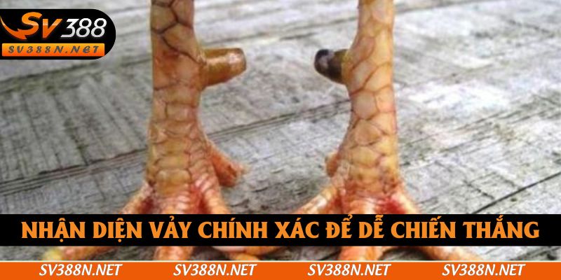 Nhận diện vảy chính xác để dễ chiến thắng Nhận diện vảy chính xác để dễ chiến thắng